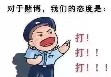 玩起了野外赌场？也难逃环江警方的“天眼”！