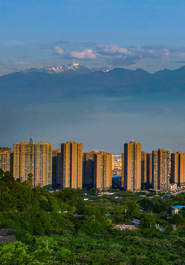 640_919 竖版 竖屏