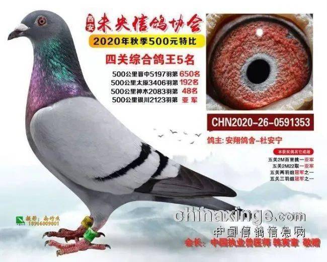8a1209ed1c6248c289aa2cb301307168.jpeg