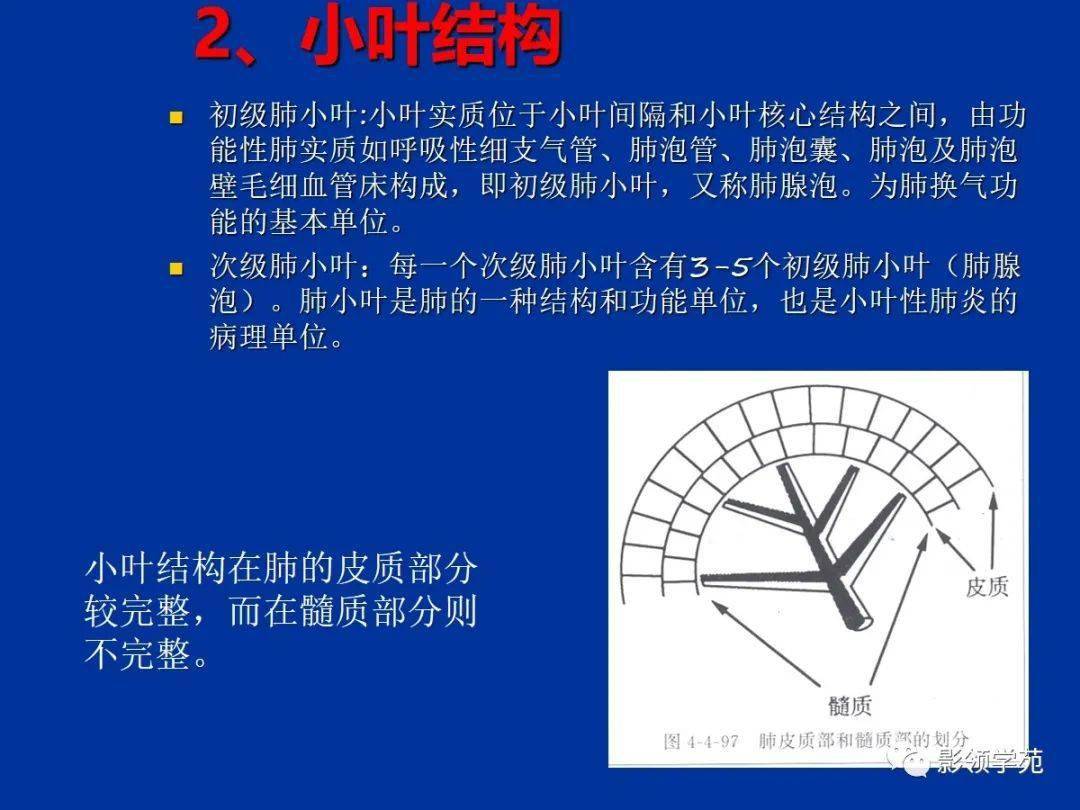 肺小叶肺间质解剖与病变的hrct诊断