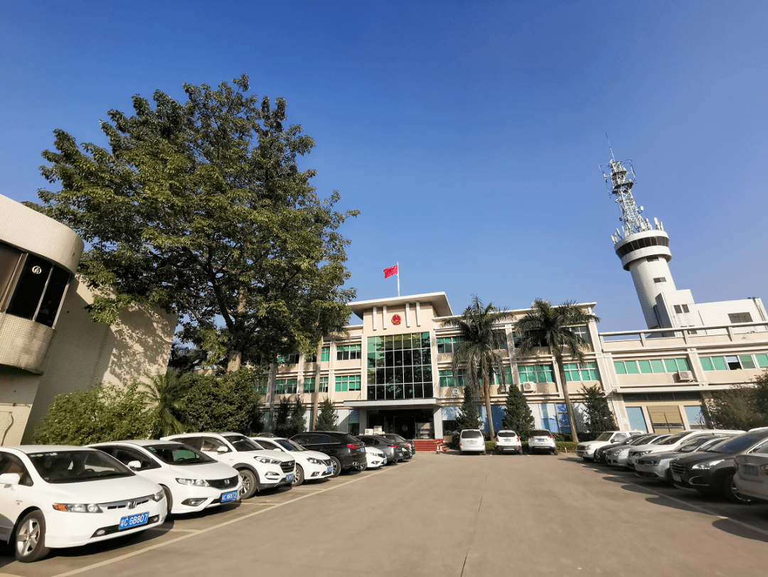 政务服务延伸白蕉镇人民政府搬了