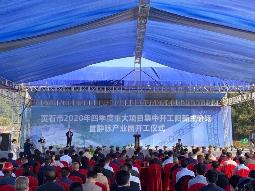 黄石市2020年一季度g_黄石市地图