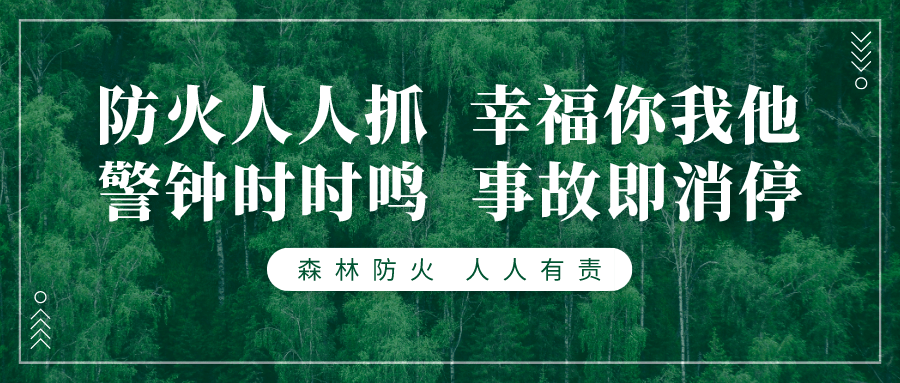 森林防火—十不准1,不准在林区烧山取暖,烘烤食物和烧茶做饭2,不准