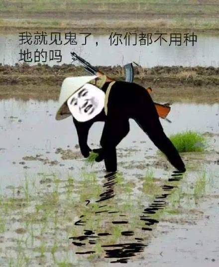 在这款硬核种田游戏里，和萝莉一起下地干活