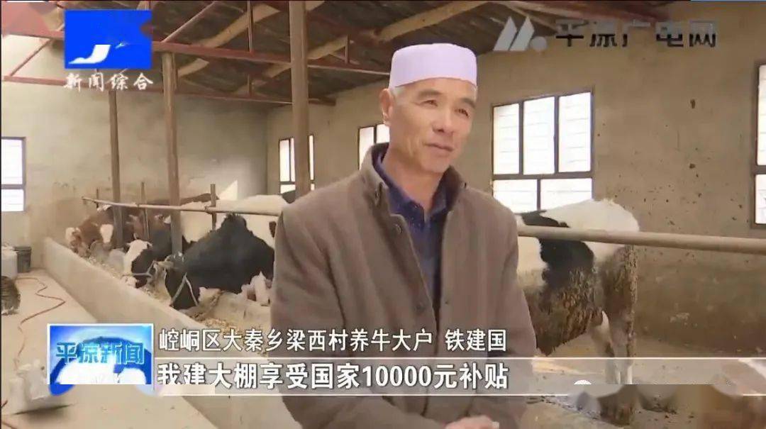 第二届平凉红牛节崆峒五动模式让牛产业牛起来