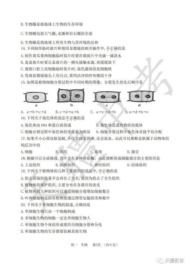 于天疆|2020-2021学年省实验中学七年级上册期中试卷