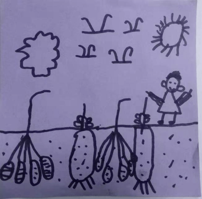 【海安一幼】小小农夫挖"薯"记——分园大一班挖红薯劳动实践活动