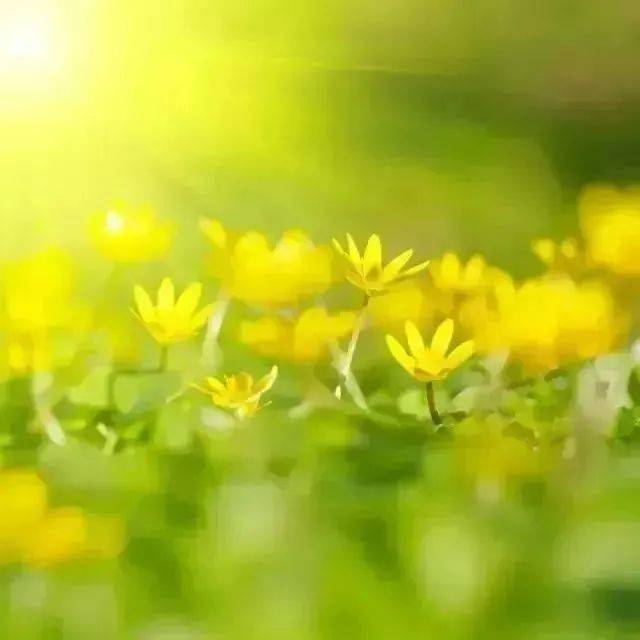 心有光芒,必有远方