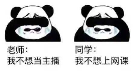 明年还要继续上网课,这届云留学生已经被逼疯了!