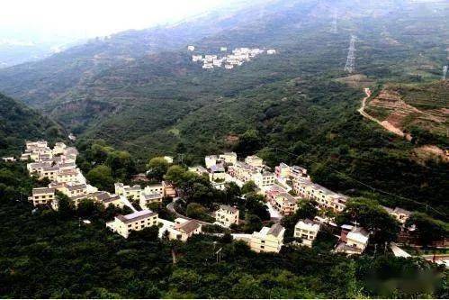 雅安市汉源县2020年G_雅安市动物园图片