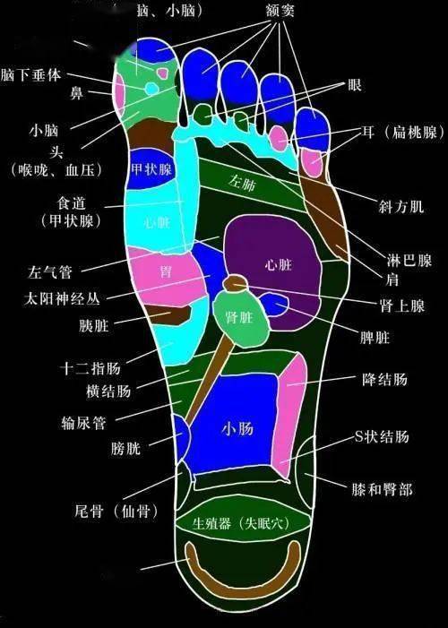 睡前"足背拉一拉",等于拉开4条经络,比走一万步更有效