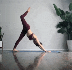 70161a032e574e39a91caba458f1d413.gif