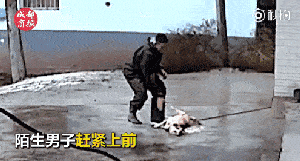 偷狗贼滚啊
