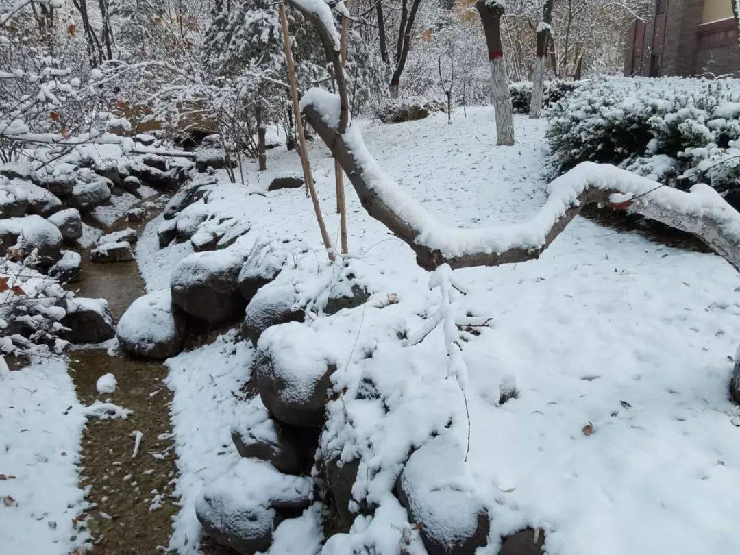 你要的银川雪景,安排上了!