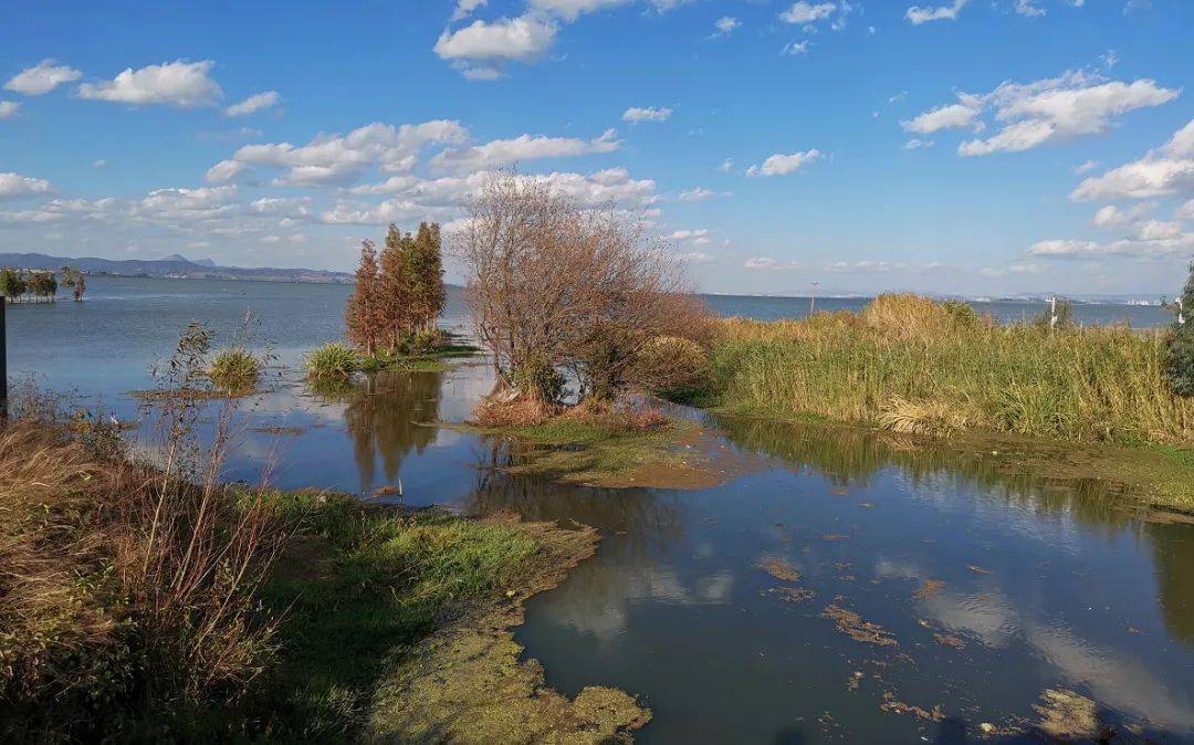 水流清澈而缓慢,冬季的东大河湿地公园,滇池南岸