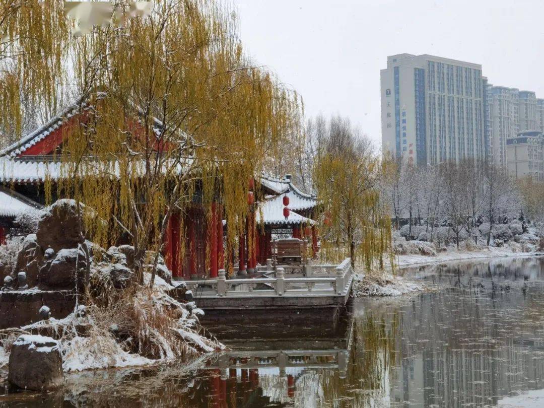 你要的银川雪景,安排上了!