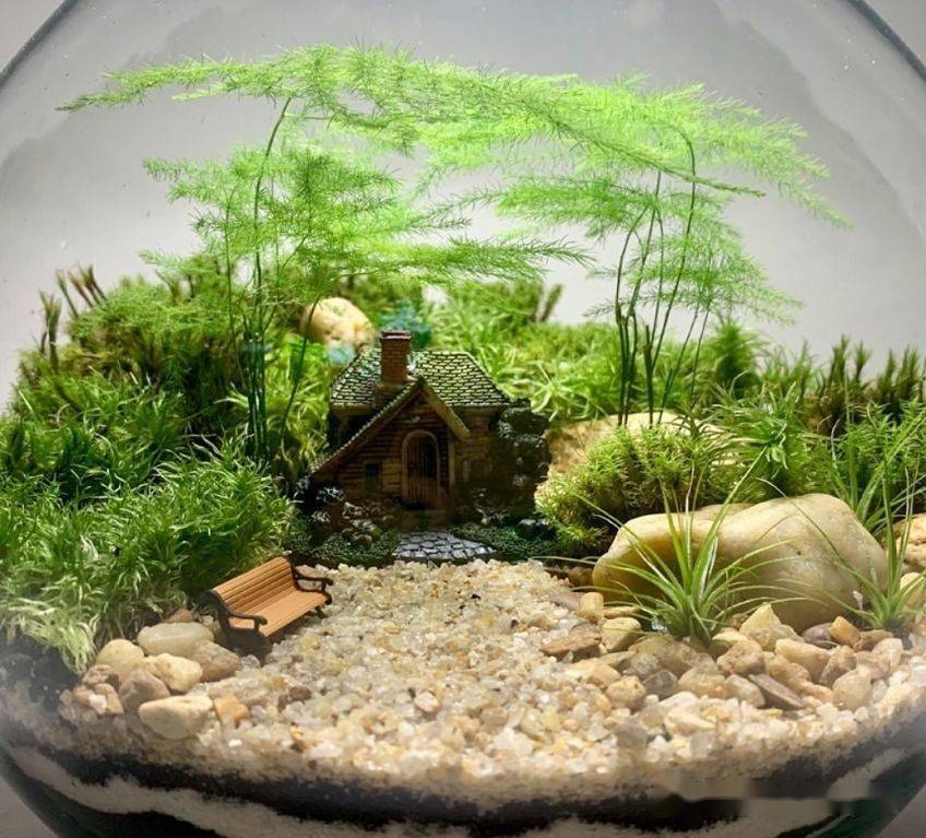 苔藓玻璃瓶微景观作品欣赏