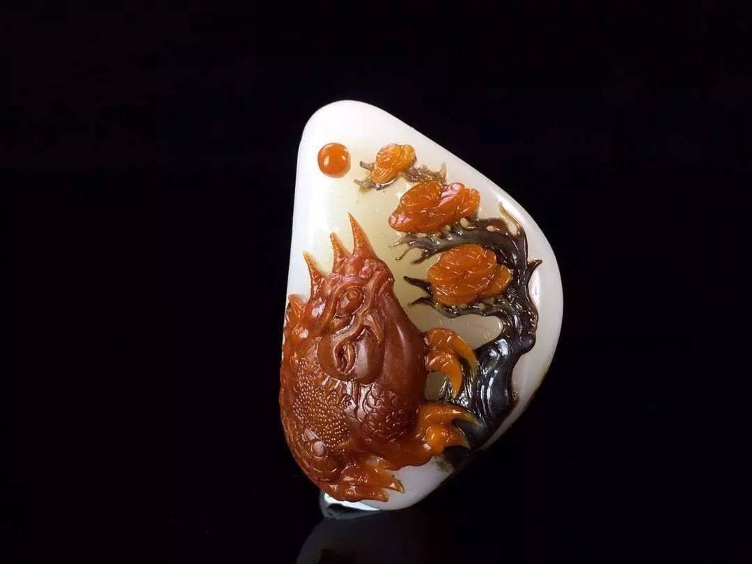 怎么养金蟾蛤蟆 c30b2667a7f84f81a42544207793f5b1.jpeg