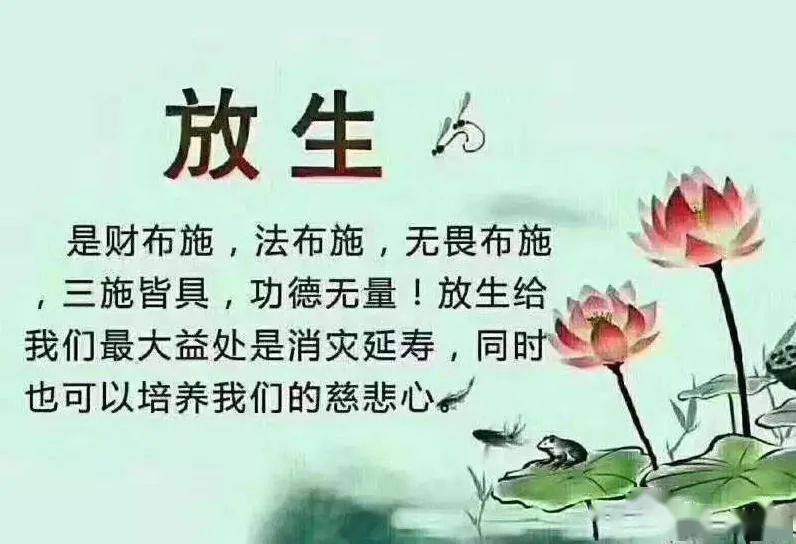 db53d8605827468f9644a179f950dd6f.jpeg