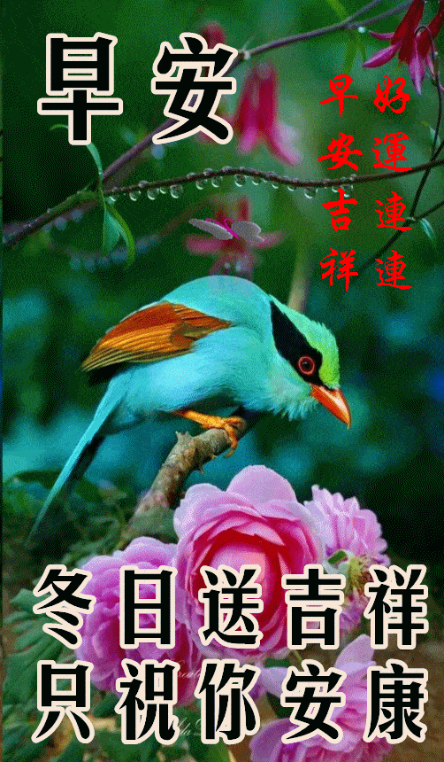 20201121周末愉快《早安心语》