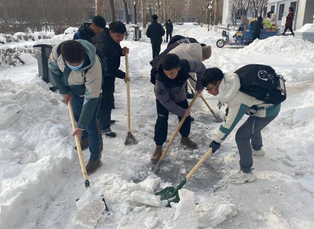 国际教育活动暴雪至清雪忙