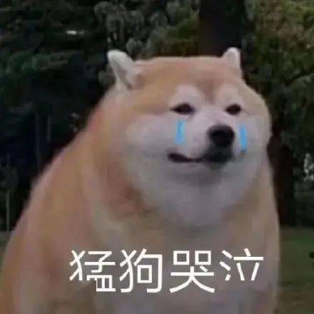 7dc9c15e075740289063c2b43cbcc6af.jpeg