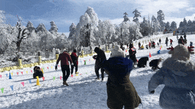 982f0e311b164f37b134b07ff6822fb3.gif