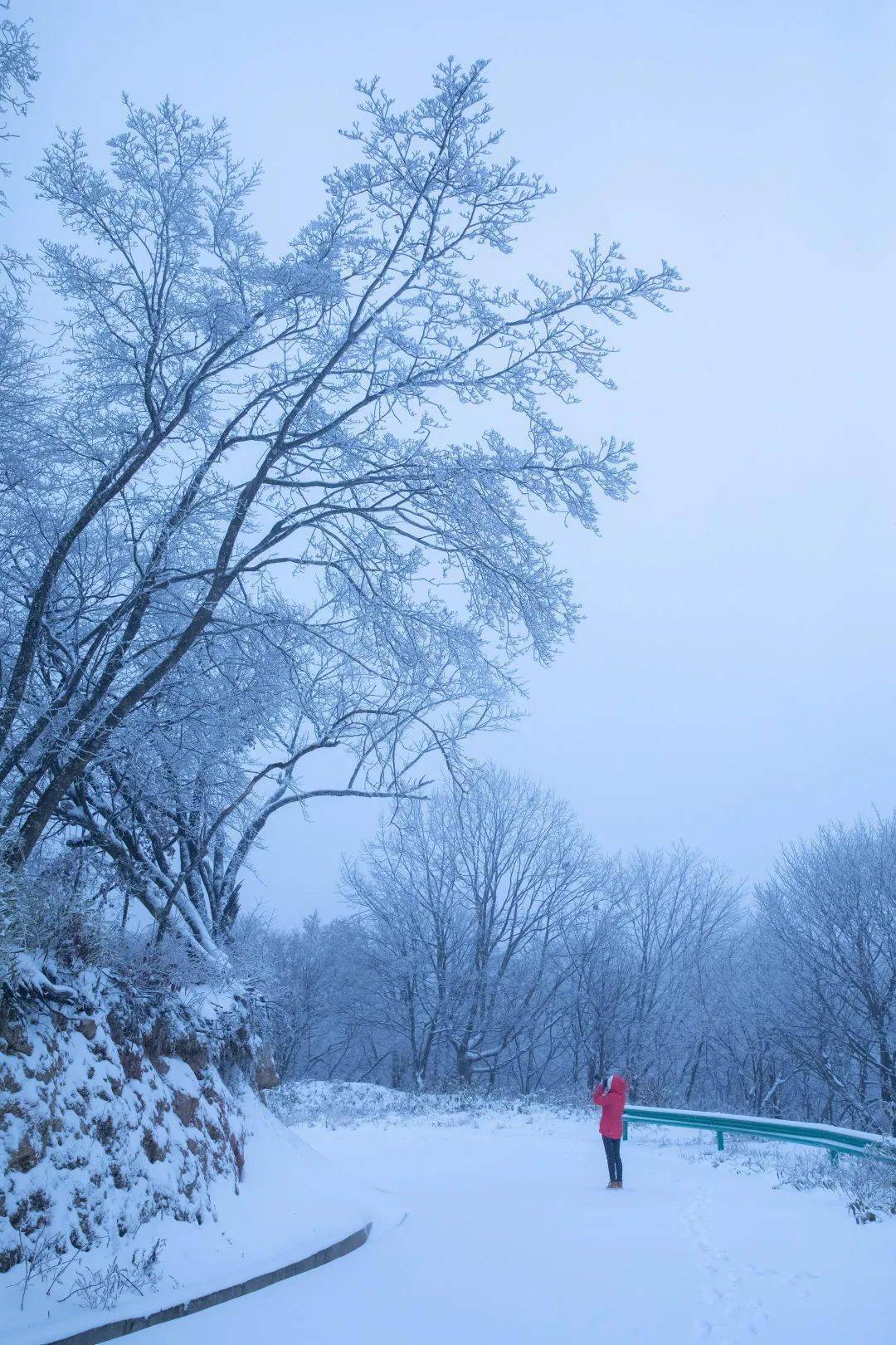 安康擂鼓台雪景美到窒息