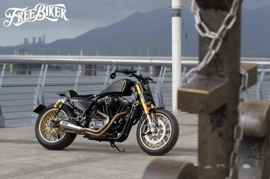 哈雷xl1200改装作品欣赏