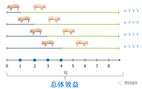 96cafa40c70c42a4876f65c2894f7ddf.png