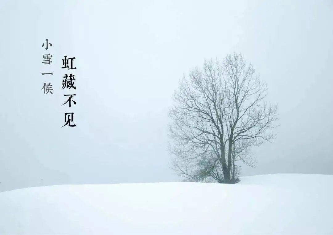 节气| 今日小雪,天地初寒,愿岁月安暖