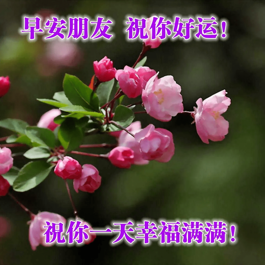 冬天早上好,天冷了,暖暖的祝福,深深的问候,早安图片唯美句子