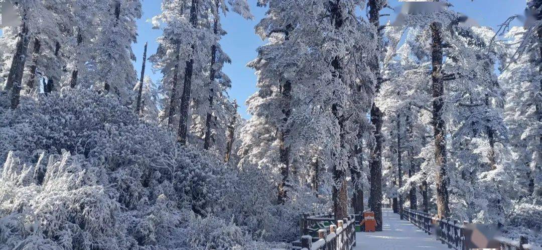 去瓦屋山听风沐雪,感受冬日里的小确幸