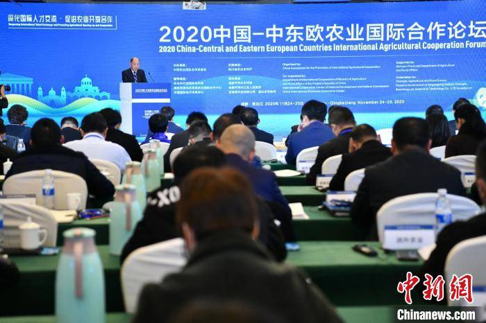 记者 张浪)24日,由中国农业国际合作促进会主办,农业农村部国际合作司