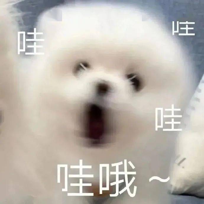 6f79bf51969e48c2b2ad3408005c09c3.jpeg