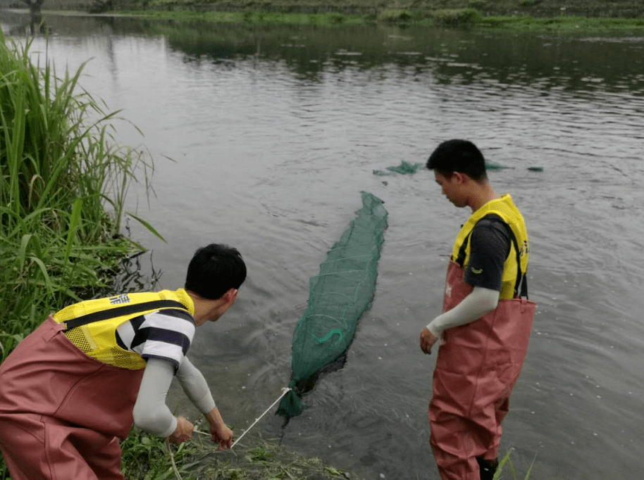 我区水生生物多样性调查取得阶段性成果