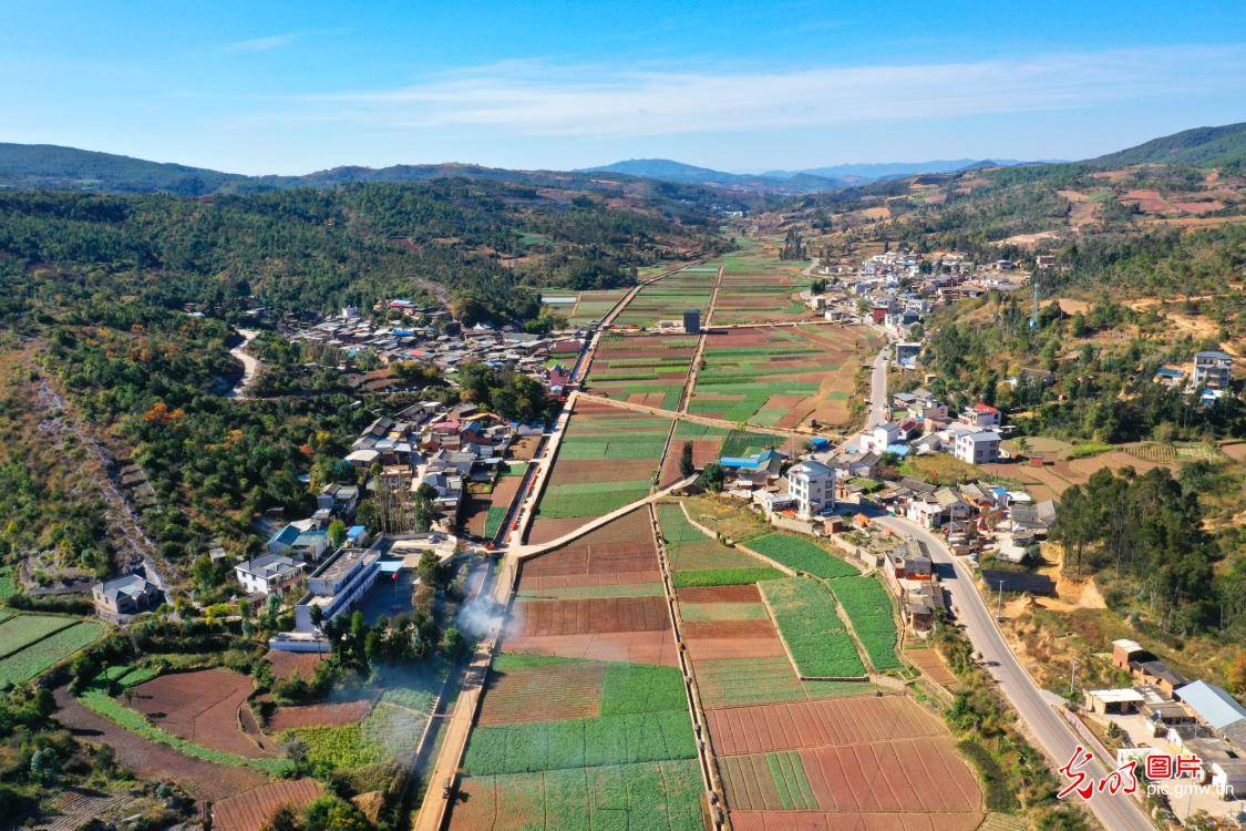 2020年11月20日,无人机航拍云南省红河州石屏县哨冲镇彝家山寨慕善村.