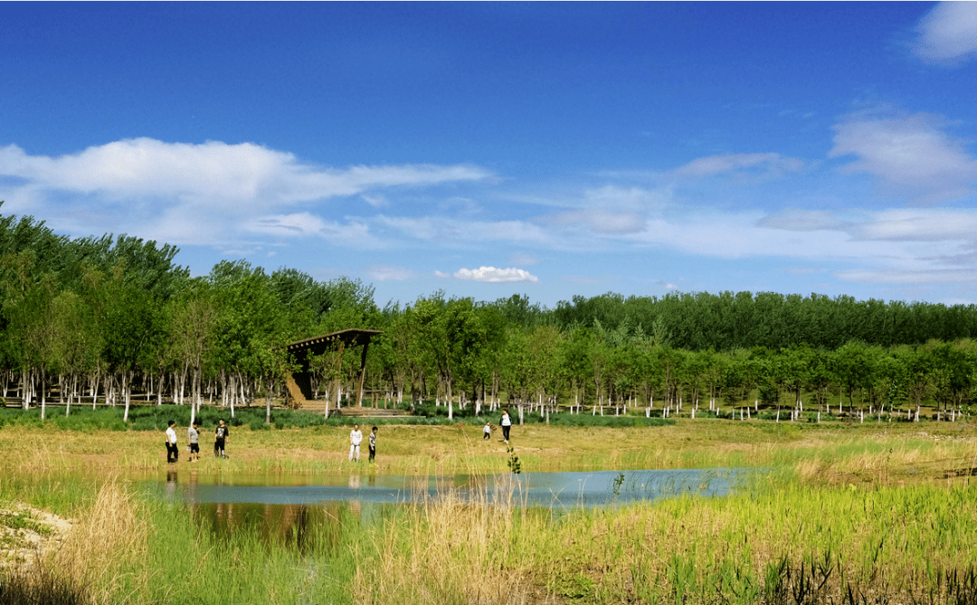 东郊森林公园 位于北京市通州,顺义,朝阳三区交界地带, 南部紧邻通州