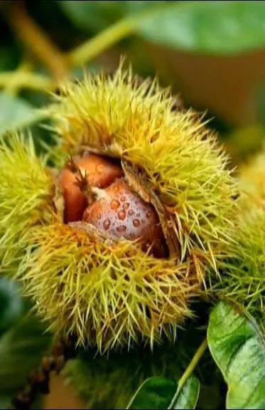 2020年中国百强城市_中国城市社会发展综合排名百强榜东莞位列11