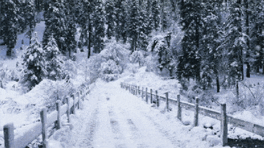 48d87716ab7b45139dd387a195f0f2aa.gif