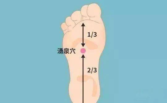 58894b47451949508a96535227a90566.jpeg