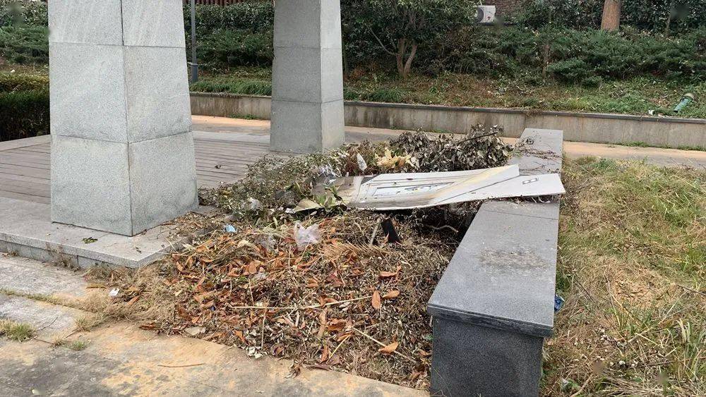 泰顺这些地方被曝光_垃圾