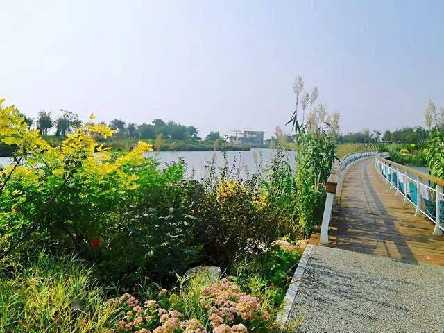 南堤滨海步道公园,位于中新天津生态城旅游区的南部边界,这里河海相接