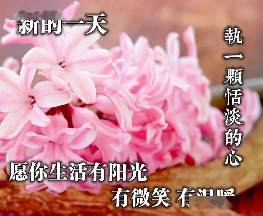 温暖整个冬天的早安祝福图片 让人心情愉悦的早安心语!