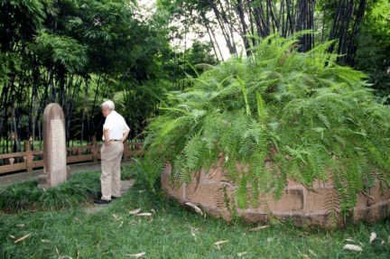 望江公园简介 24e57b5d3f384f858f700ab70b806ee7.png