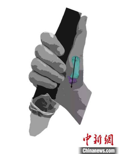 力性|国际最新研究：尼安德特人拇指更适应抓握带柄工具