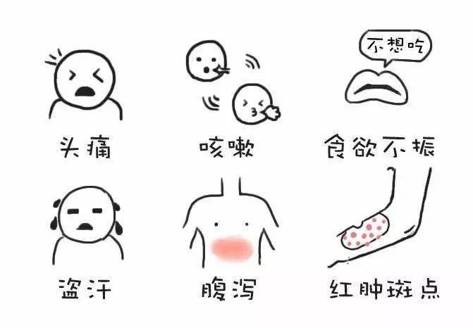 d1464e8fadc64e22b4cd519579d69c58.jpeg