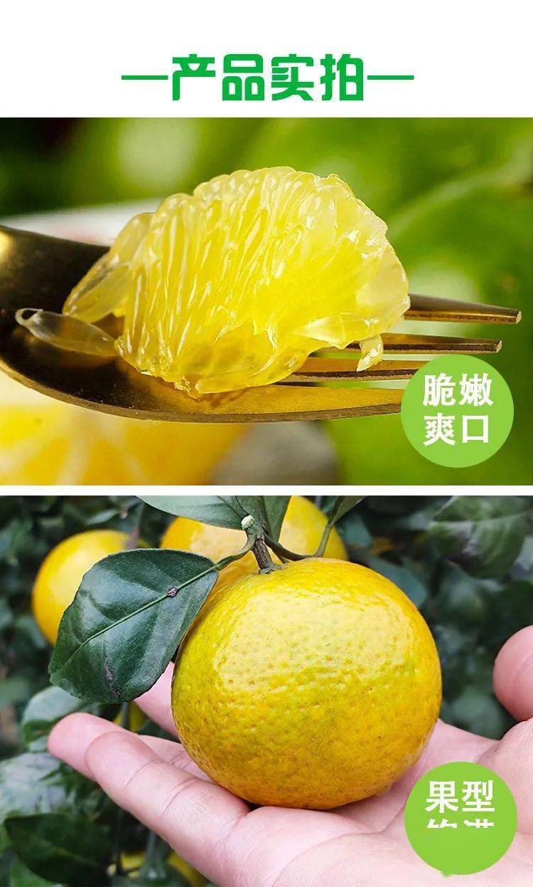 9元起抢购广西皇帝柑 新鲜水果 净果 橘子柑果 5斤