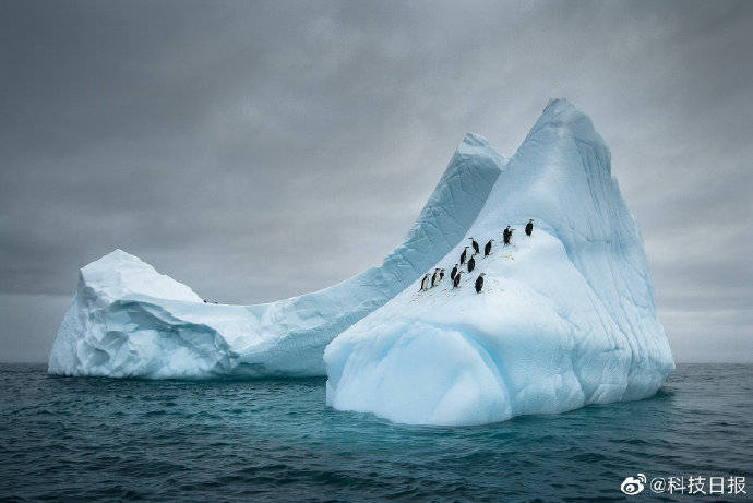 表面|报告显示本世纪以来南极冰盖表面近1/5已融化