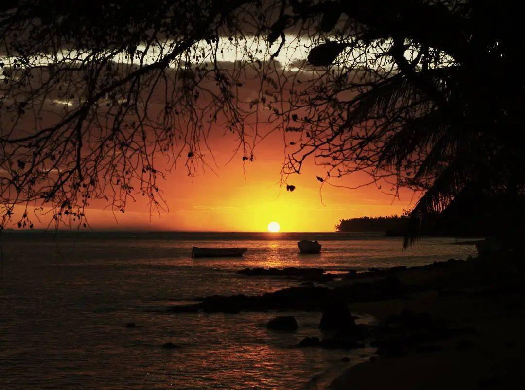 诗经典丨兰波《醉舟》